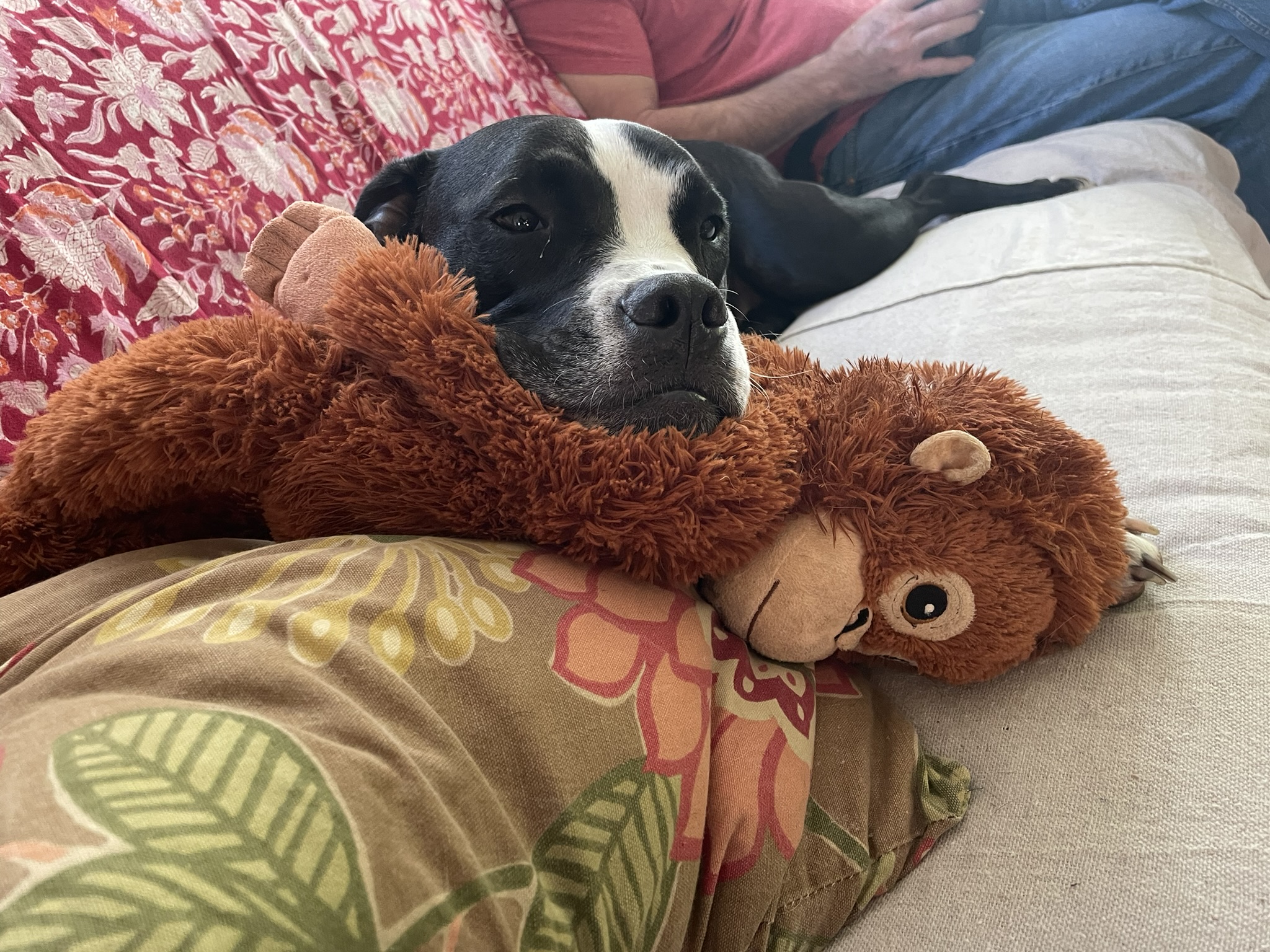 The Fire And The Flying